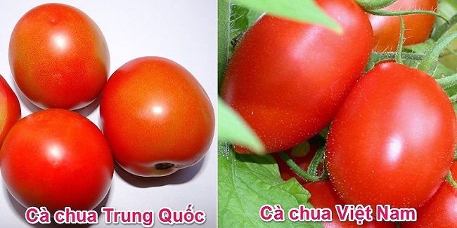 Cách nhận biết rau Trung Quốc