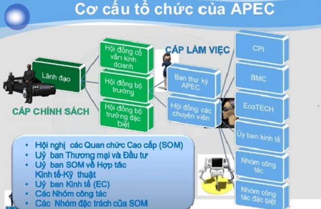 Cơ cấu tổ chức của APEC