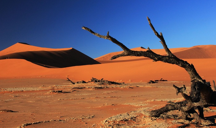 Nơi nóng nhất thế giới Sa mạc Dash - eLoot